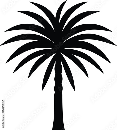 Desert Fan Palm Tree Icon Vector Art Illustration