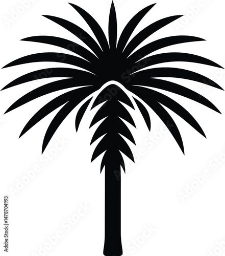 Mediterranean Fan Palm Tree Icon Vector Art Illustration