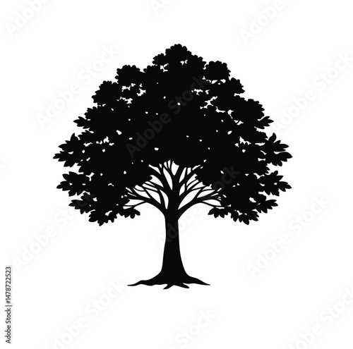 deciduous tree, tree silhouette, tree icon, leafless tree, black tree, nature silhouette, forest tree, tree vector, isolated tree, winter tree, trDeciduous Tree Silhouette Isolated on White Background