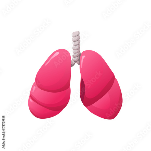 Healthy Human Lungs Flat Illustration for Medical Use