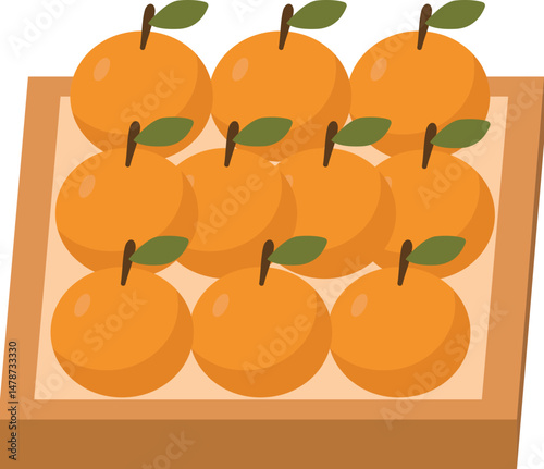Vector Illustration Flat Style of Orange Fruit
