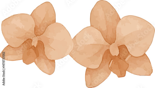 A watercolor sketch of delicate pink orchid flowers with green leaves, adding a touch of elegance and natural beauty to a spa setting, symbolizing luxury and relaxation