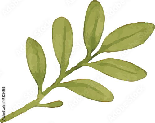 A hand-drawn illustration of a green olive branch, symbolizing peace, relaxation, and wellness, perfect for spa or natural health themes