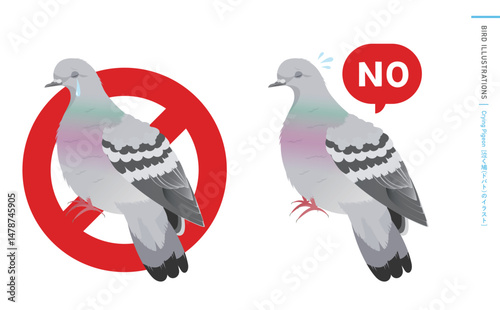 泣く鳩やドバト(カワラバト)などの野鳥シルエットとリアルなカラーベクターイラスト：noと言うハトのエサやり禁止・注意・警告などに使える素材