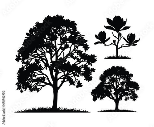Isolated Magnolia Tree Silhouette EPS Vector File
