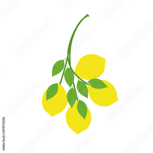 Illustration of a fresh lemon with branches 