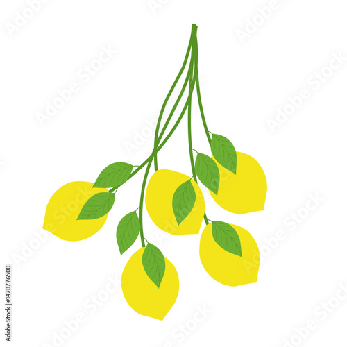 Illustration of a fresh lemon with branches 