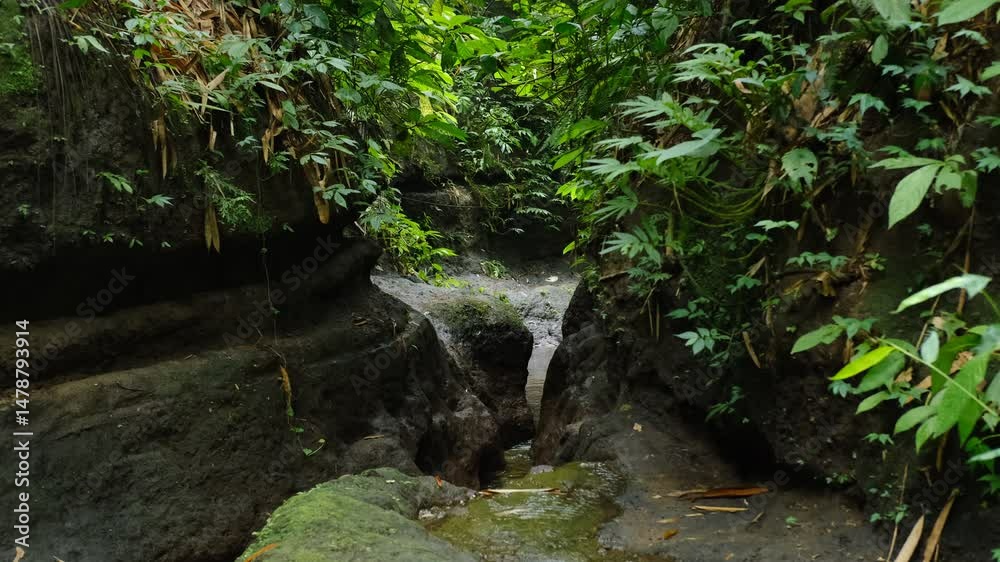 Small River Flowing Through a Shallow Rock Canyon in the Jungle
