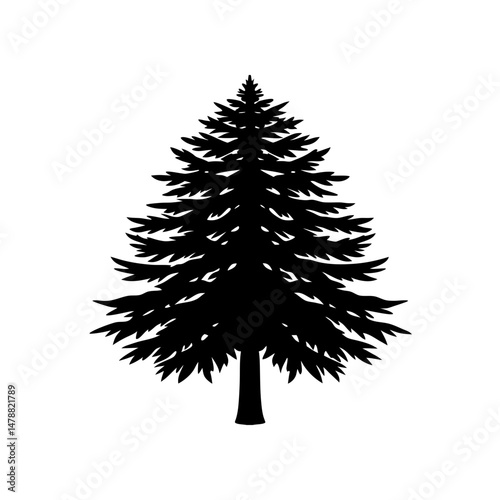 cedar  .svg