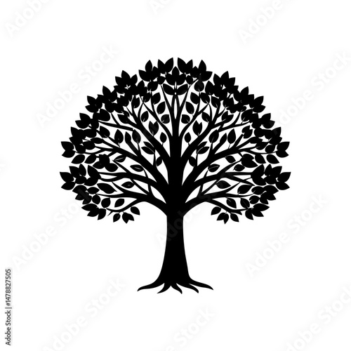 clove tree  .svg