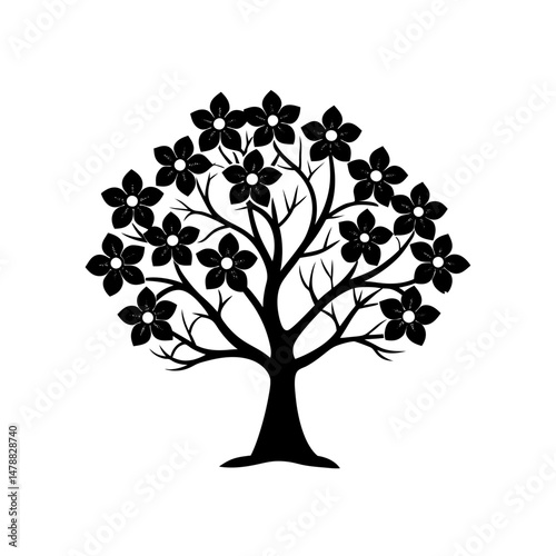 dogwood 