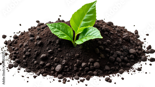 Young plant emerges from rich soil symbolizing sustainable agriculture and resilience against climate challenges, ensuring food security