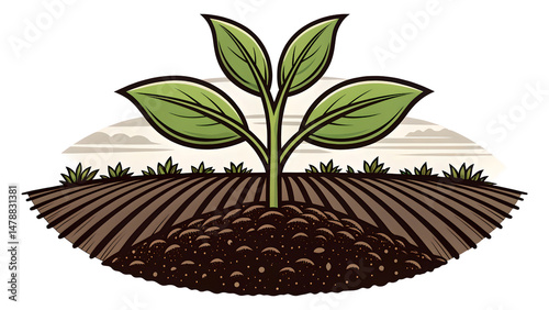 Sustainable agriculture promotes climate resilience and enhances food security by nurturing healthy soil and fostering growth