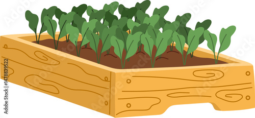 Wooden raised bed filled with young green vegetable plants, representing gardening, eco living or farming. Cartoon flat vector natural agricultural production, harvest, healthy eating, seasonal foods