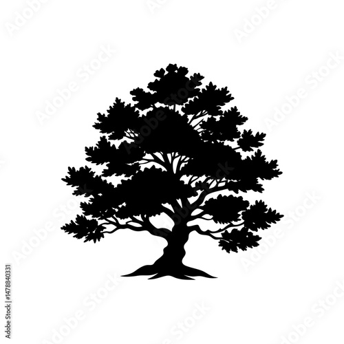 juniper  .svg