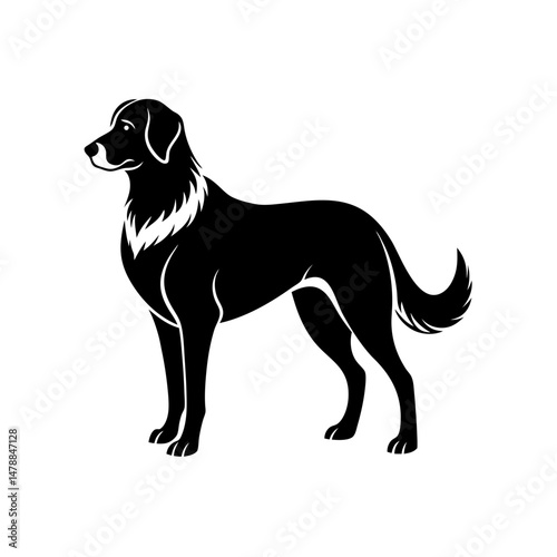 monochrome anatolian shepherd  .svg