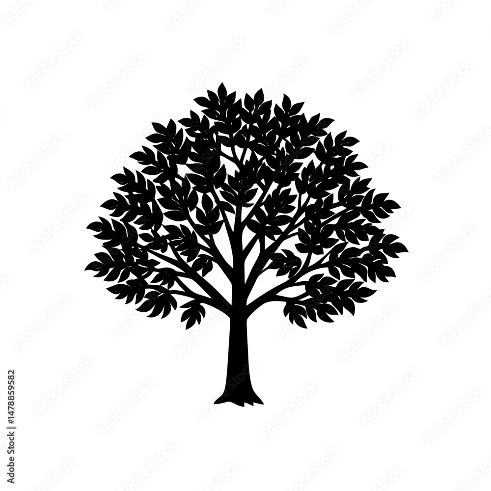 Obraz premium sassafras