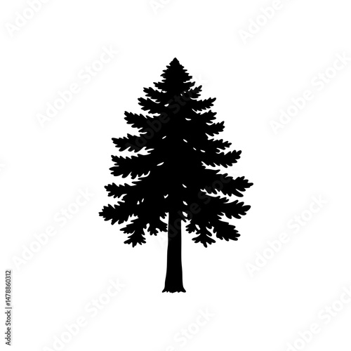 sequoia.svg