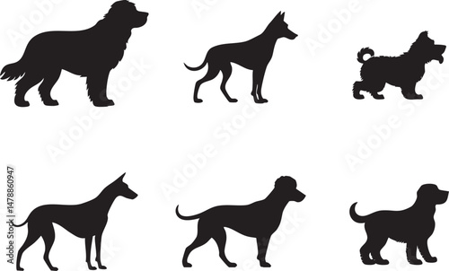 Six distinct dog breed silhouettes, in profile view, showcased against a clean white background.