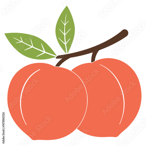 Peach whole fruit with leaves isolated on a white background. Cartoon icon for package design. Vector illustration of tropical fruits in flat style