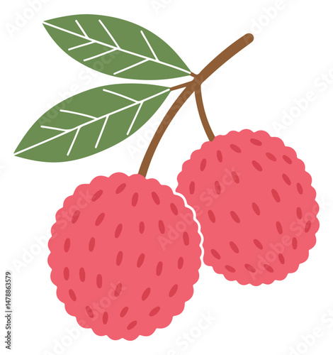 Lychee whole fruit with leaves isolated on a white background. Litchi chinensis cartoon icon for package design. Vector illustration of tropical fruits in flat style