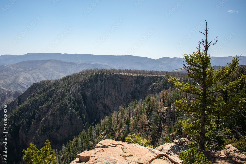 Fototapeta premium Summit vista from Hermit Peak, NM