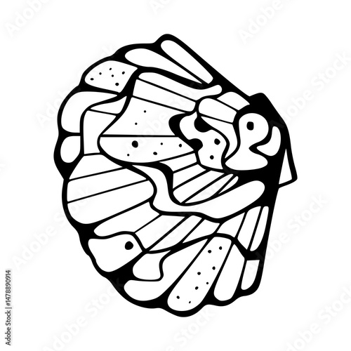marine mollusk vector design