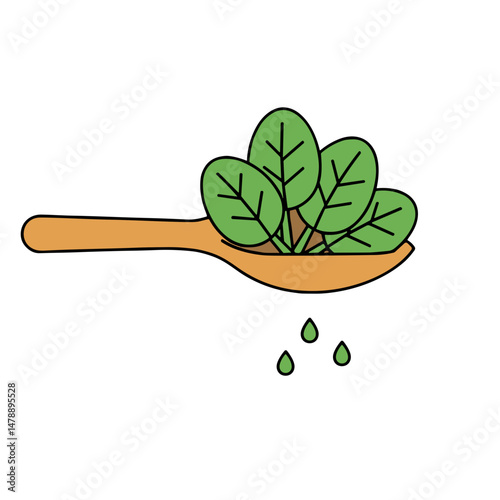 Fresh spinach leaves in wooden spoon with droplets of water  