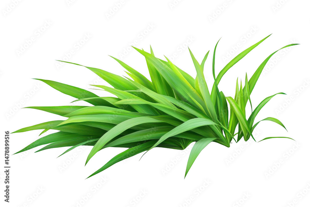 Fototapeta premium Bright Green Plant Leaves Growing With Vitality and Fresh Look