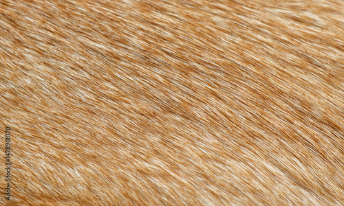 The fur of a dog is shown in a close up photo