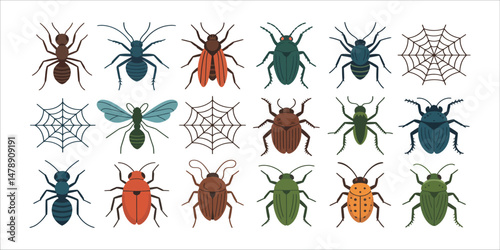 Colorful Insect Collection Featuring Ants Beetles Bugs and Spiderwebs Perfect for Educational Designs