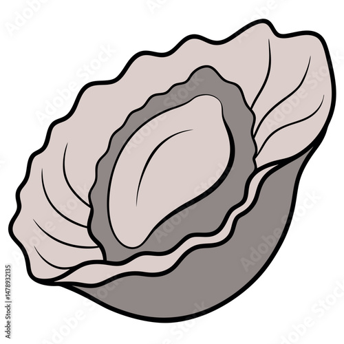 Seashell vector illustration