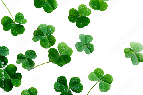 Vibrant Green Clover Leaves on Transparent Background, PNG