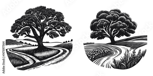Detailed Black and White Illustration of Scenic Trees and Landscape