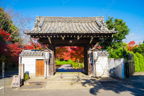 京都　将軍塚青龍殿の山門と紅葉