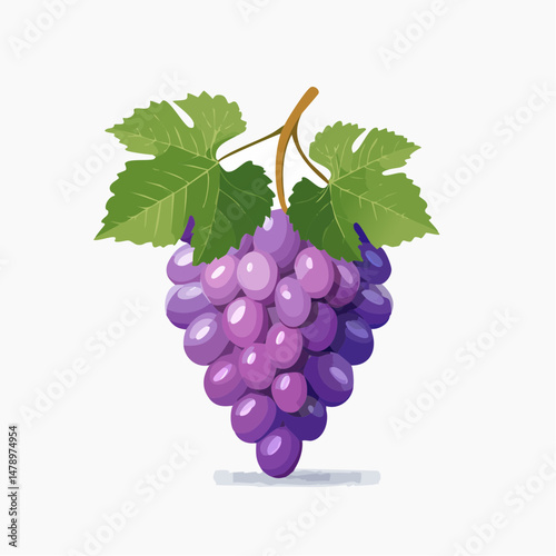 Bunch of Purple Grapes with Green Leaves on a Stem