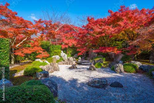 京都　将軍塚青龍殿　枯山水庭園と紅葉　