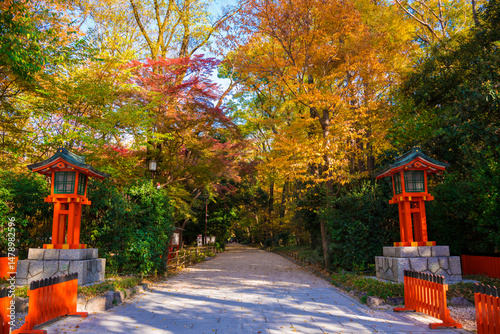 京都　下鴨神社　紅葉の糺の森（ただすのもり）