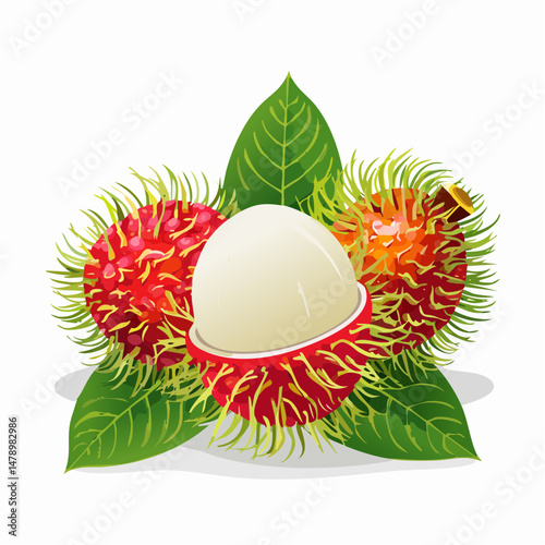 Rambutan Fruit Still Life with Leaves and Transparent Background