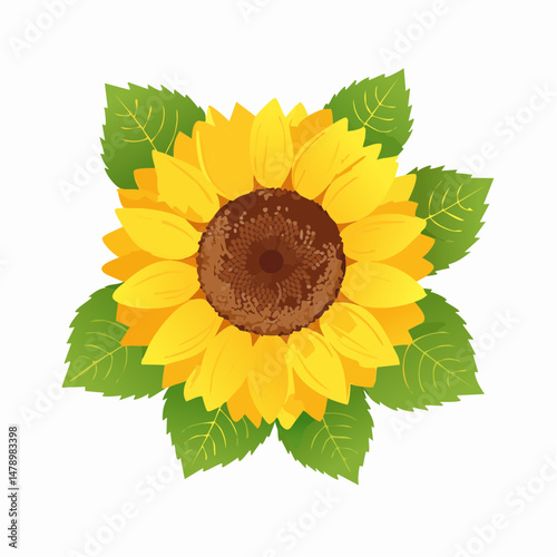 Stylized Sunflower Illustration with Yellow and White Petals