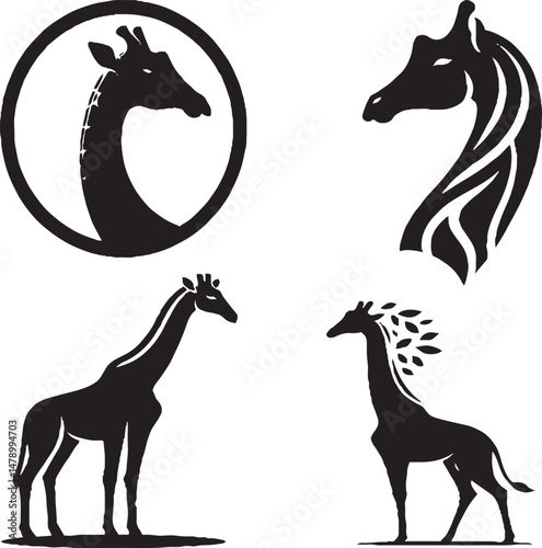 Giraffe – Tallest Land Animal Known for Long Neck and Graceful Grazing