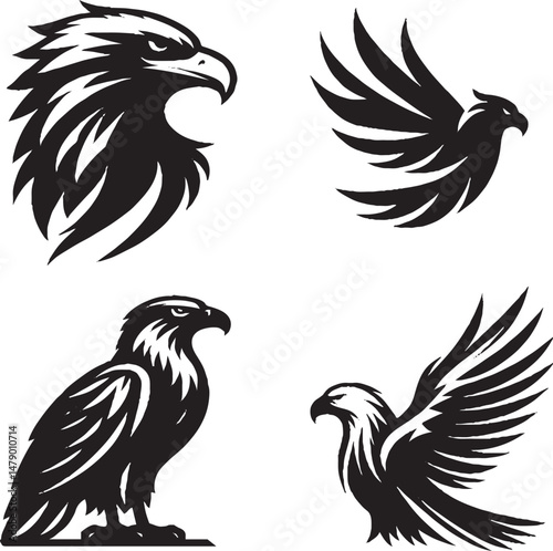 Eagle – Powerful Bird of Prey Symbolizing Freedom and Strength