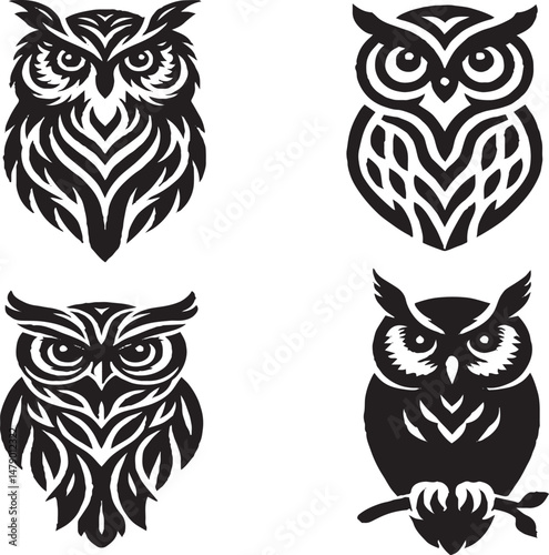 Owl – Mysterious Nocturnal Bird Known for Wisdom and Silent Flight