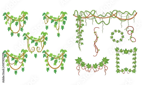 Jungle frames. Green vine