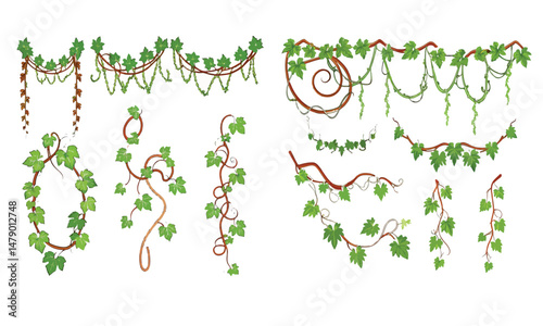Jungle frames. Green vine