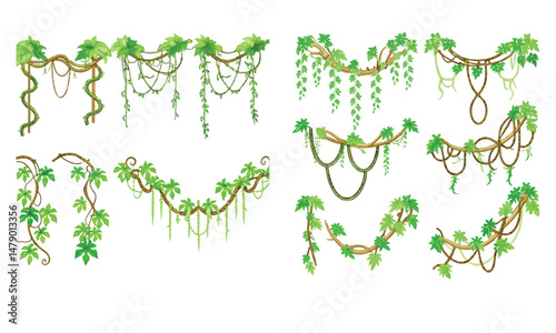 Jungle frames. Green vine