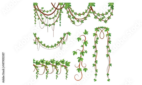 Jungle frames. Green vine