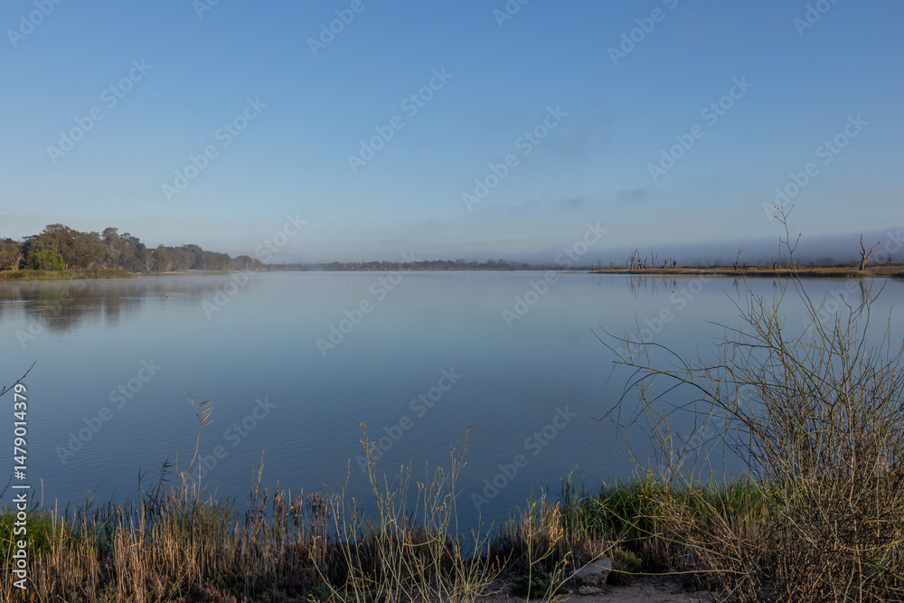 Obraz premium A tranquil, calm lagoon next to the Murray River in the early morning and surrounded by reeds, trees and grasses under a blue sky with reflections in the water at Waikerie in South Australia.