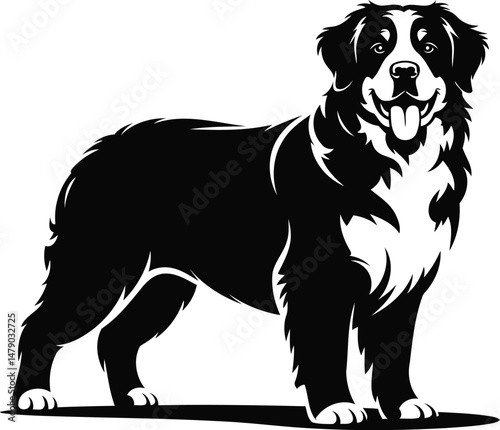 "Border Collie Dog Silhouette Vector Design, Transparent Background"