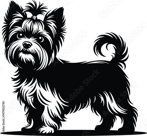 Yorkshire Terrier Dog Silhouette Vector Design, Transparent Background.